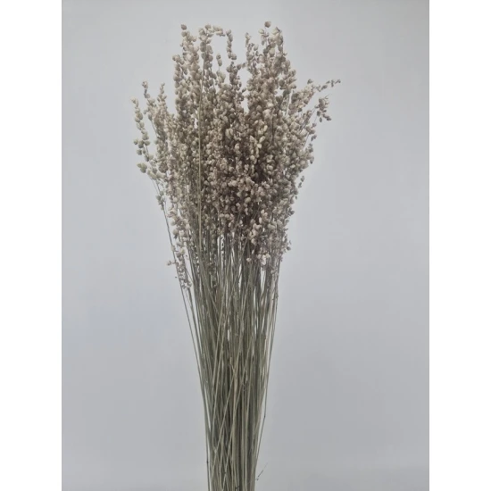 BRIZA MINIMA NATUREL VERT +/-50GR BOPP/kraft emballage hobby