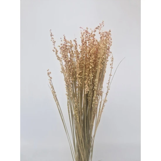 BRIZA MINIMA NATURAL ROZE +/-50GR BOPP/kraft