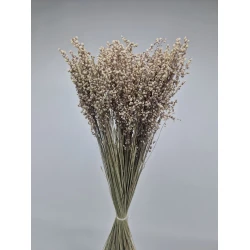 BRIZA MINIMA NATURAL GREEN +/-100GR