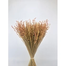 BRIZA MINIMA NATURAL PINK +/-100GR