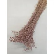 BRIZA MINIMA OUDROZE +/-100GR