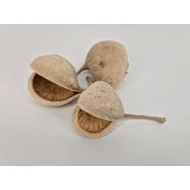 BUDHA NUTS GEBLEEKT 3ST