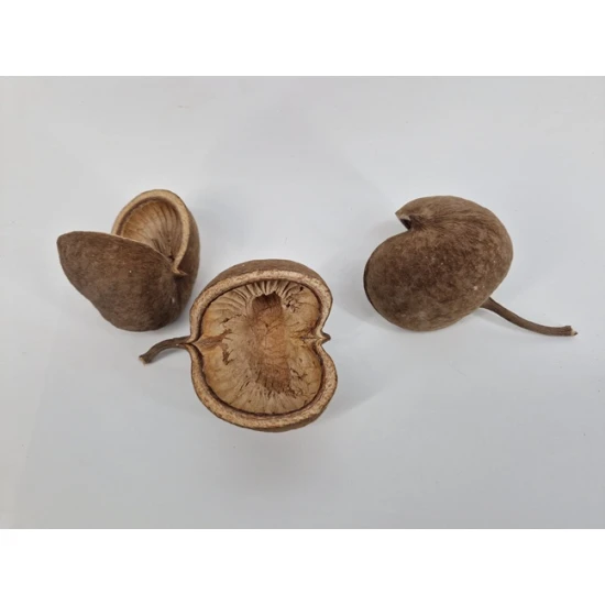 BUDHA NUTS NATUREL 10PCS