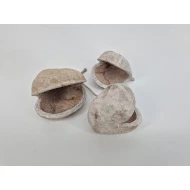 BUDHA NUTS WHITE WASH 10ST