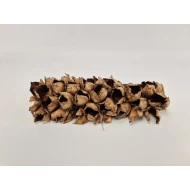 CACHO COCO 60/70 DEMI NATUREL 1PC