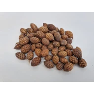 CANE FRUIT NATUREL +/-500GR