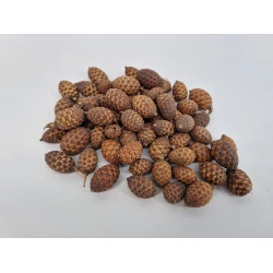 CANE FRUIT NATURAL +/- 500GR