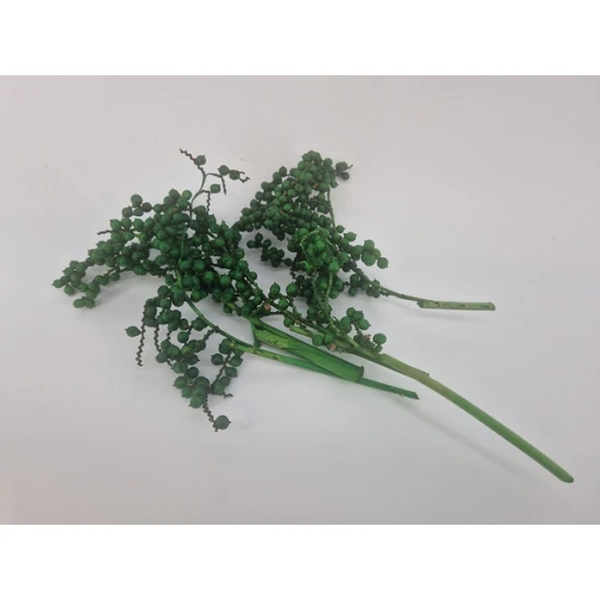 CANELLA APPLE GREEN 20PCS