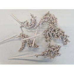 CANELLA FROSTED WHITE 20PCS