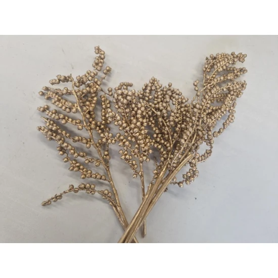CANELLA GOLD 5PCS