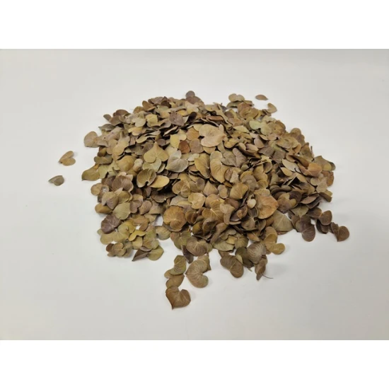FEUILLES CARACAO NATUREL +/-200GR