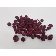 CASURINA RED +/-1KG