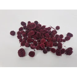CASURINA RED +/-75GR