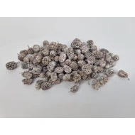 CASURINA WHITE WASH +/-75GR