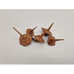 CEDAR BASIC NATURAL 5PCS