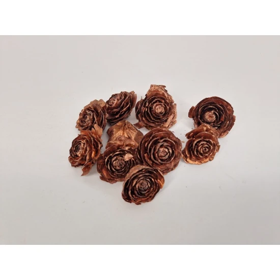 CEDER ROSE KOPER 40ST