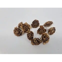 CEDER ROSES GOLD 10PCS