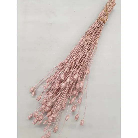 CENTAUREA PEARL PINK +/-100GR