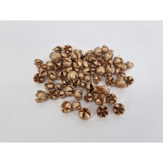 CHILONI GOUD