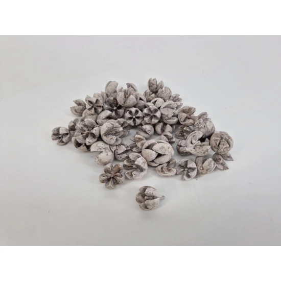 CHILONI WHITE WASH