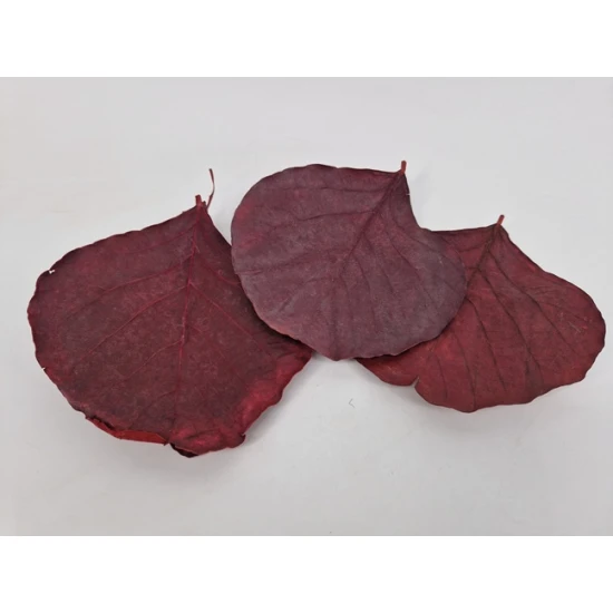 FEUILLE COBRA BORDEAUX