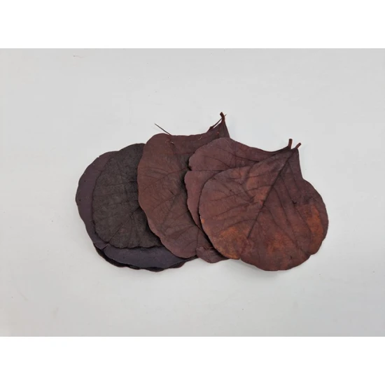 FEUILLE COBRA MARRON