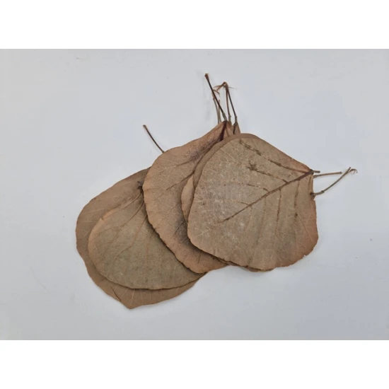 COBRA BLAD NATUREL