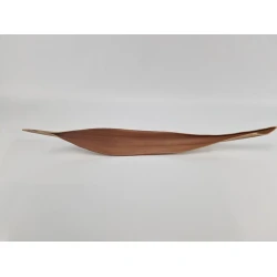 COCOS 60/80CM NATURAL 1PC