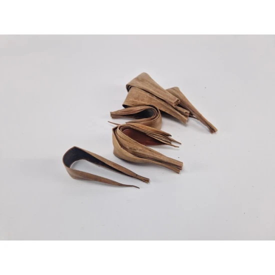 COCOS GALERA (BEND) MINI 25PCS