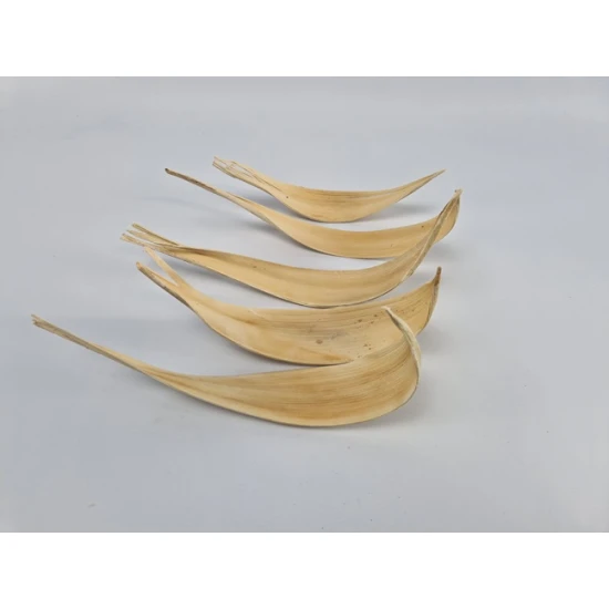 COCOS MEDIUM GEBLEEKT 5PCS