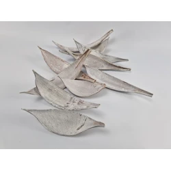 COCOS MEDIUM WHITE 10PCS