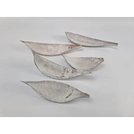 COCOS MEDIUM BLANC 5PCS