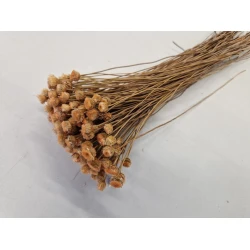 CONGONHAS MELON +/-50GR BOPP/kraft Small packaging