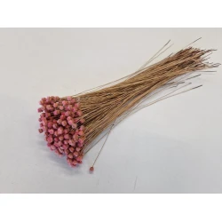 CONGONHAS PINK +/-50GR BOPP/kraft Small packaging