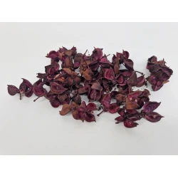 COTTON PODS AUBERGINE +/-250GR