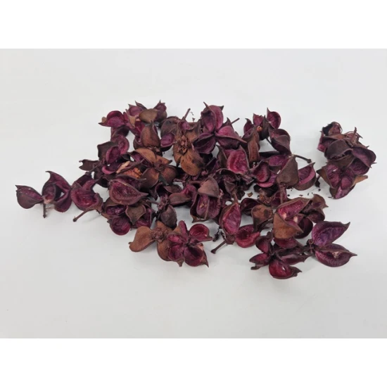 COTTON PODS AUBERGINE
