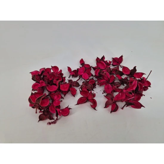 COTTON PODS CYCLAAM +/-50GR