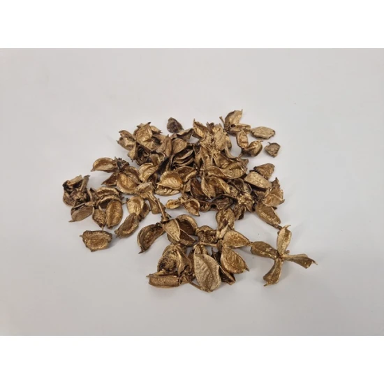 COTTON PODS GOUD