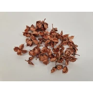 COTTON PODS KOPER +/-250GR