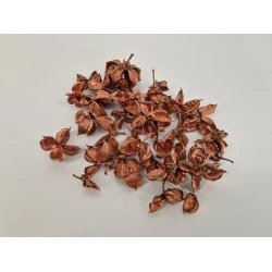 COTTON PODS KOPER +/-250GR
