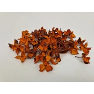 COTTON PODS ORANGE (APRICOT) +/-50GR