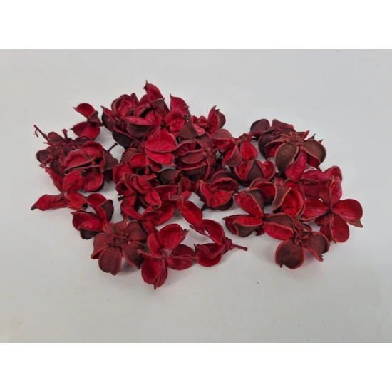 COTTON PODS ROOD