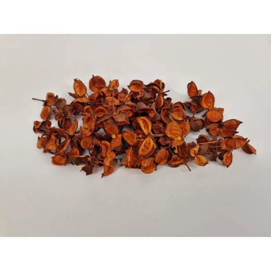 COTTON PODS TERRACOTTA +/-50GR