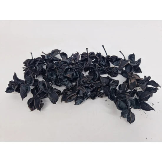 COTTON PODS NOIR