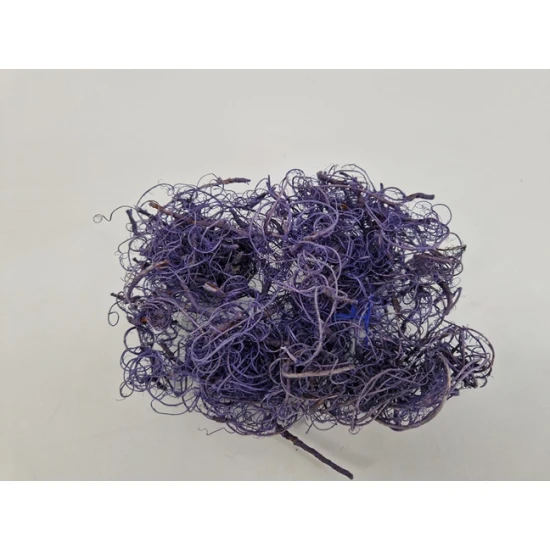CURLY MOSS LAVENDER
