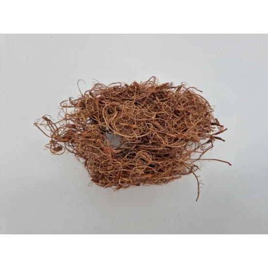 CURLY MOSS NATURAL