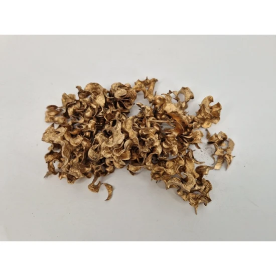 CURLY PODS GOUD