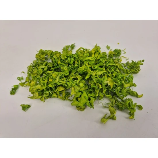CURLY PODS LIME GREEN