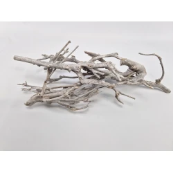 CURRY BUSH 25-45CM WHITE WASH 5PCS