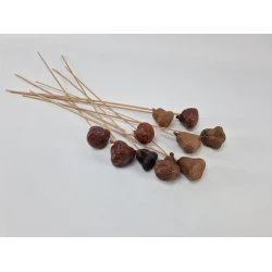 DAUMPALM NATURAL 10PCS